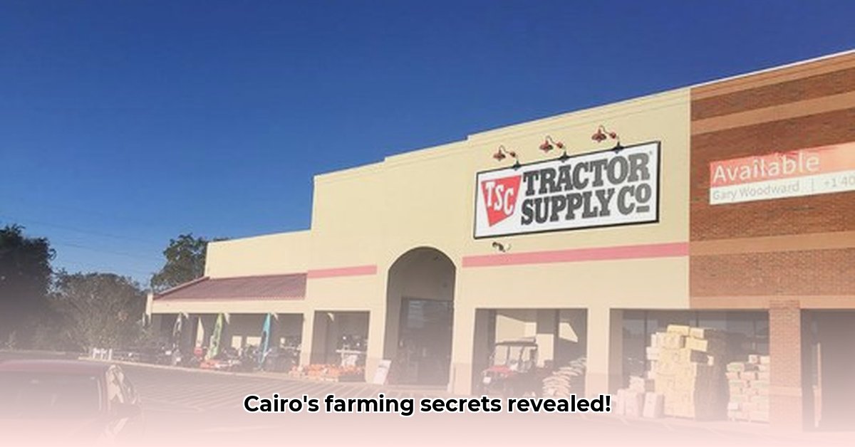 tractor-supply-cairo-georgia